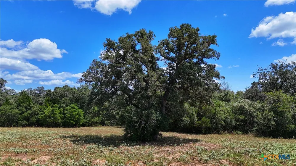 5 State Highway 304 Harwood, TX 78632