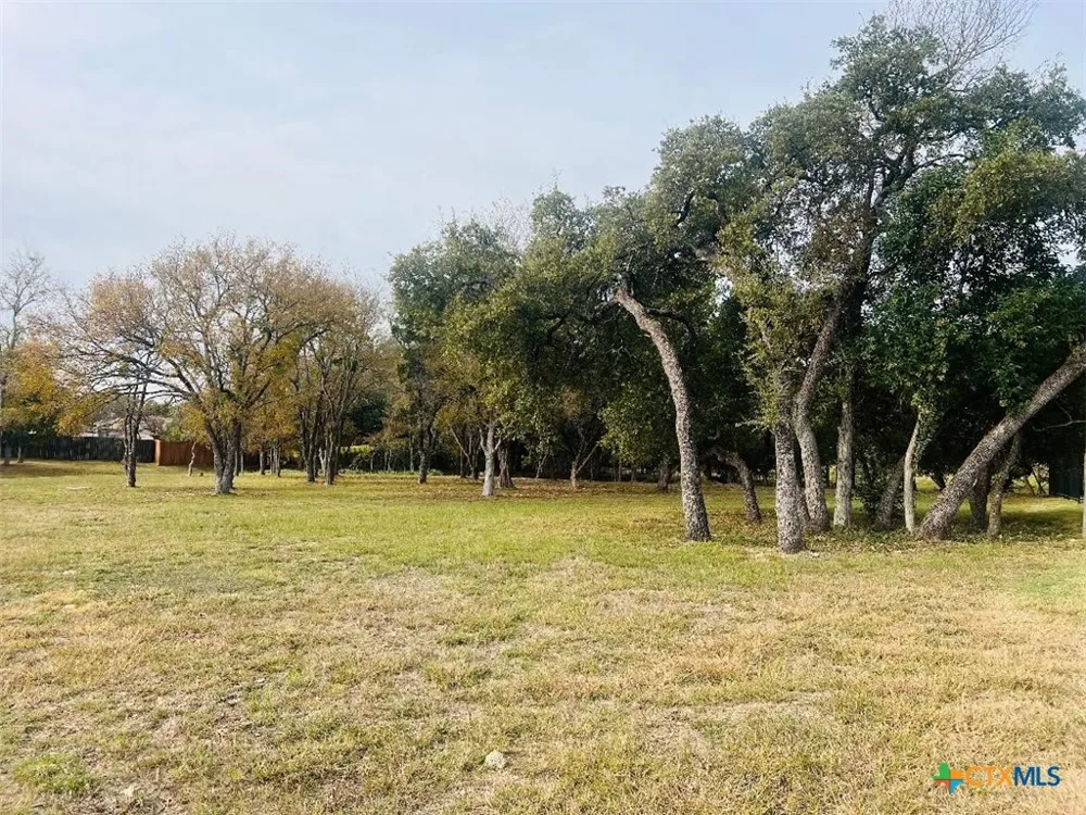 2009 Chalk Mill Crossing Salado, TX 76571