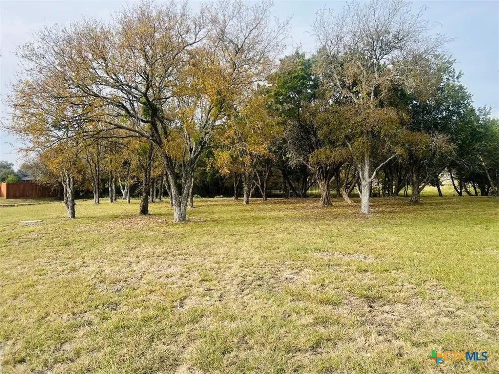 2009 Chalk Mill Crossing Salado, TX 76571