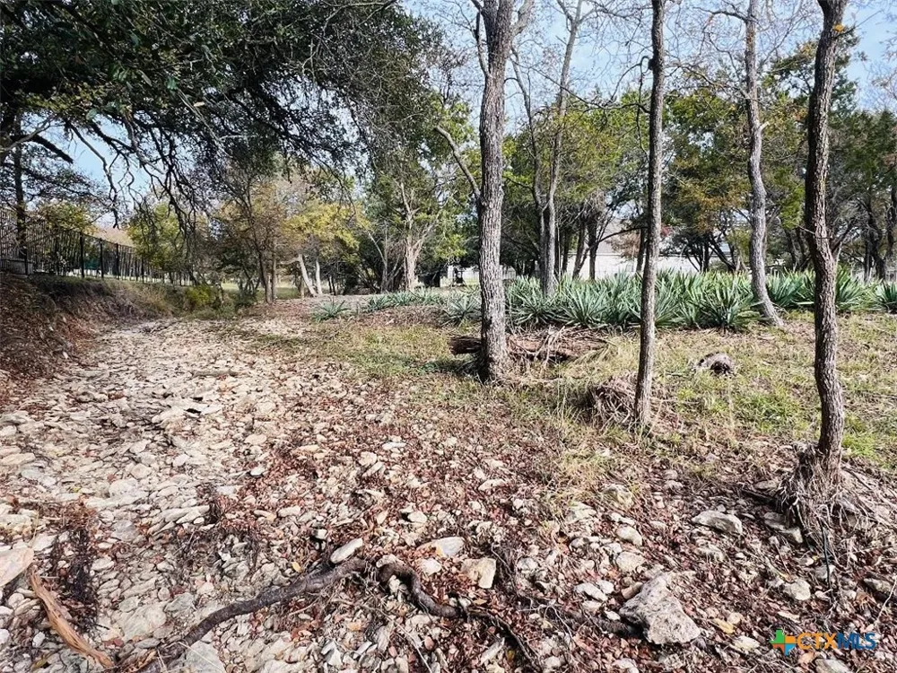 2009 Chalk Mill Crossing Salado, TX 76571