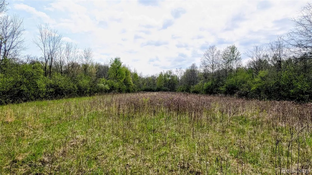 44043 Tyler Road Van Buren Charter Township, MI 48111