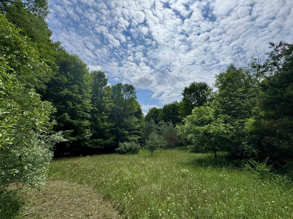 3885 Gaddi Drive Garfield Charter Township, MI 49684
