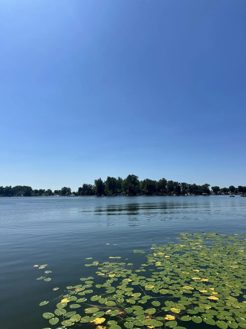 347 Plank Road Rollin Township, MI 49247