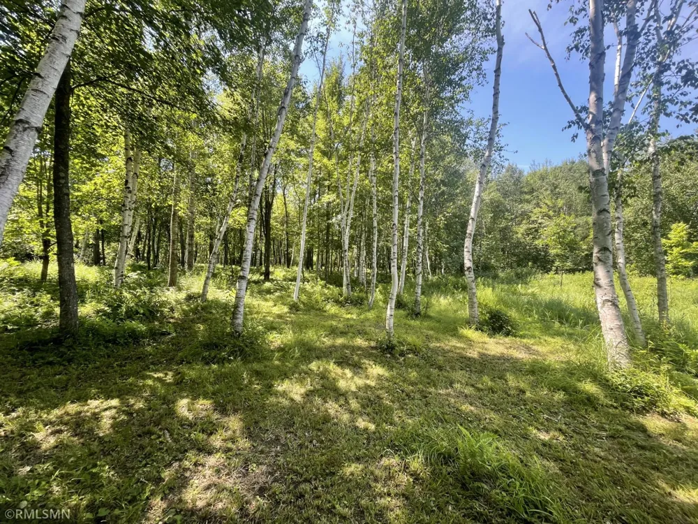 38539 Clover Circle Hinckley, MN 55037