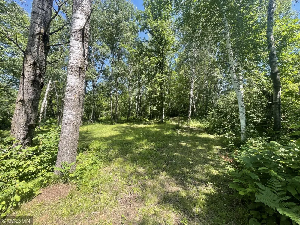 38539 Clover Circle Hinckley, MN 55037