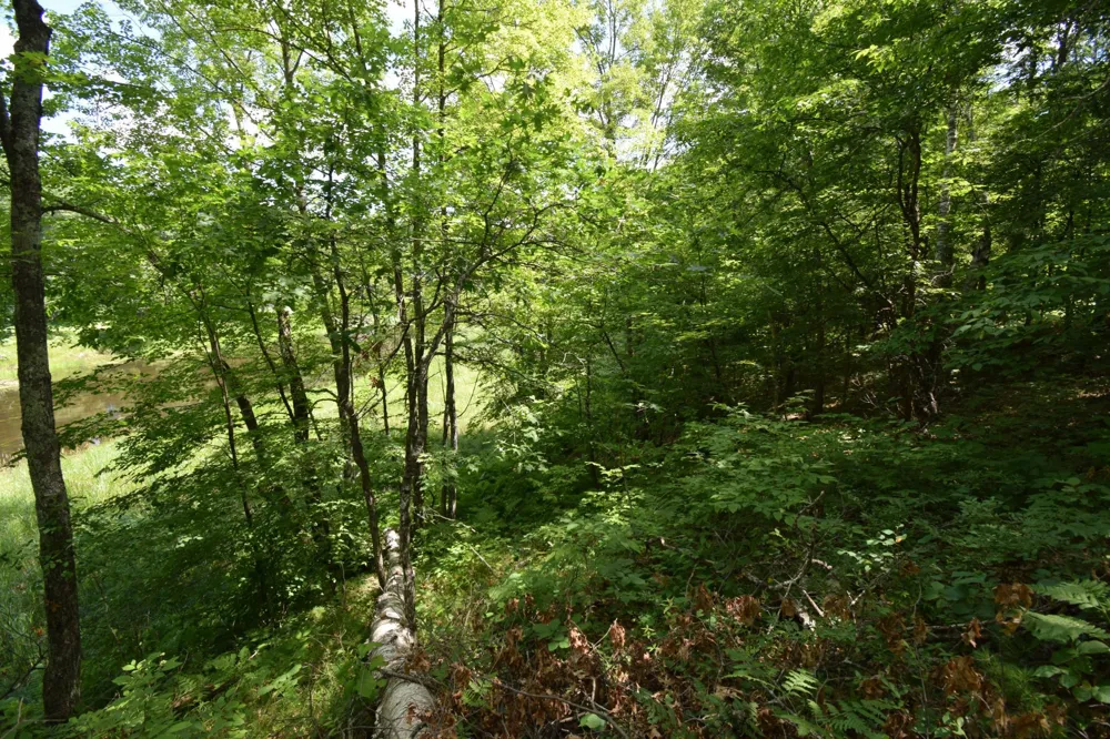 Lot 2 Saylors Lane Siren, WI 54872