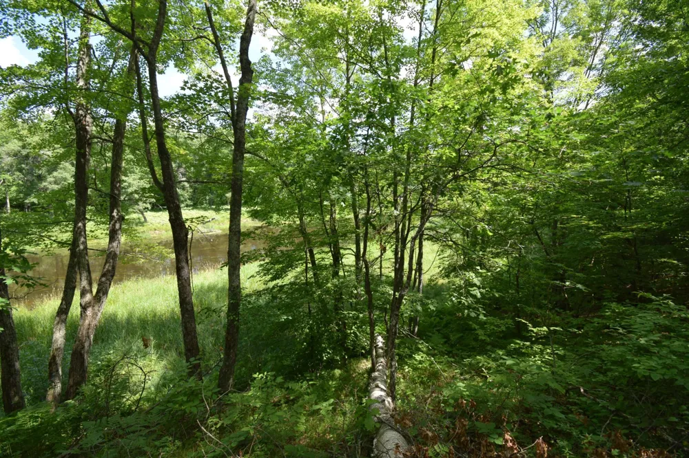 Lot 2 Saylors Lane Siren, WI 54872