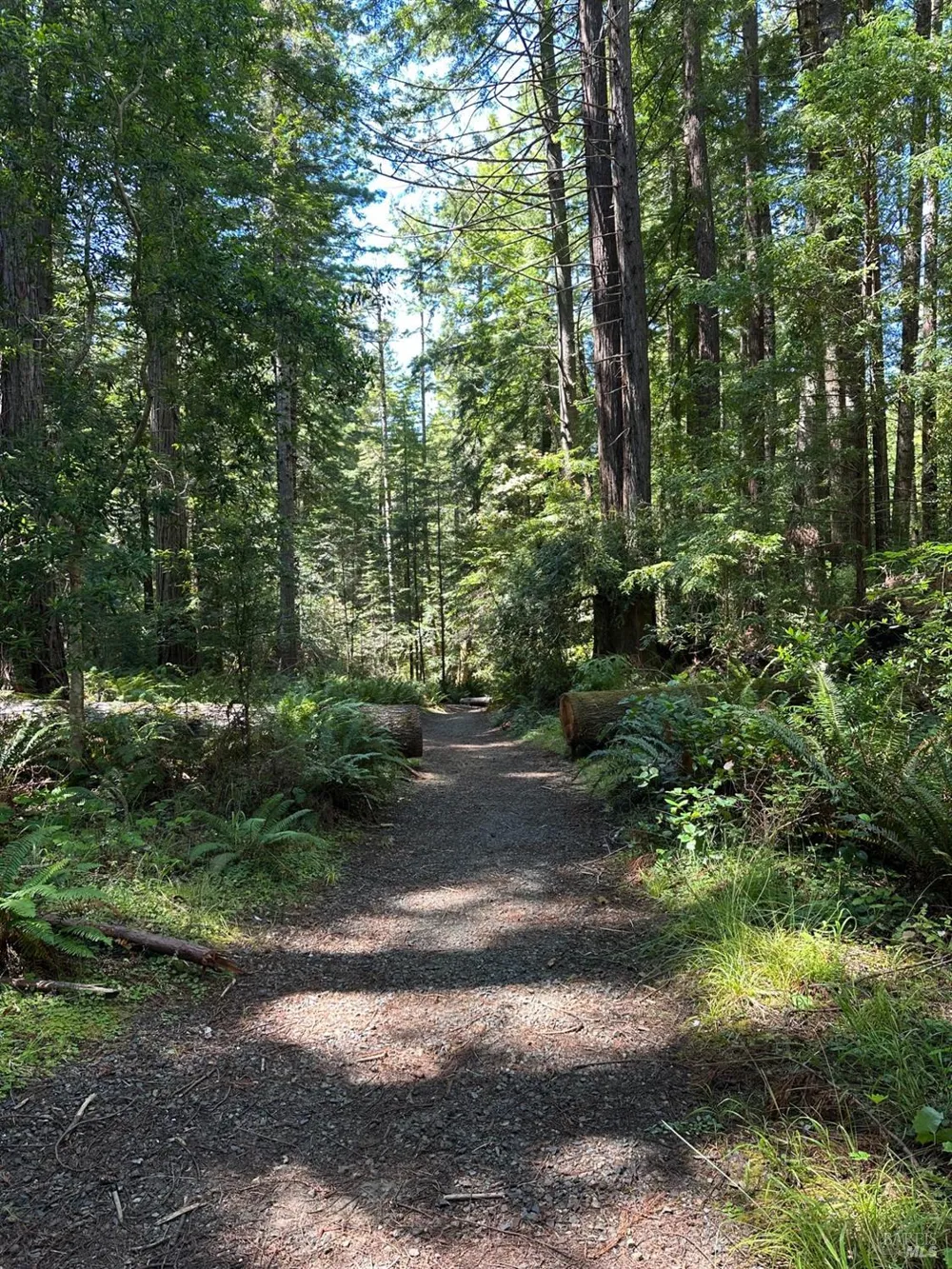 10181 Sorcerer Wood The Sea Ranch, CA 95497