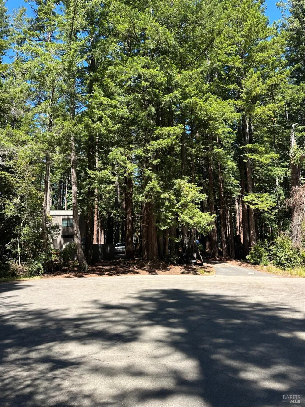 10181 Sorcerer Wood The Sea Ranch, CA 95497