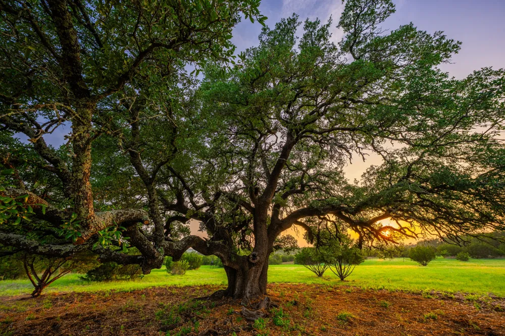 2170 County Road 228 Hico, TX 76457