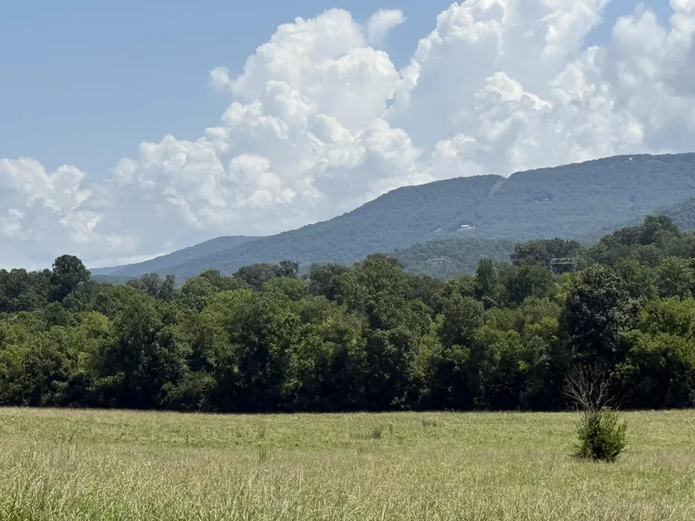 Howard Beavert Road Pikeville, TN 37367