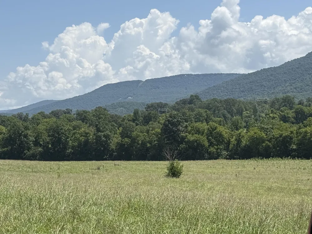 Howard Beavert Road Pikeville, TN 37367