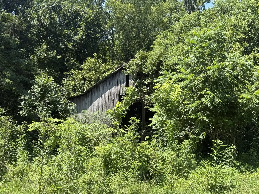 Howard Beavert Road Pikeville, TN 37367