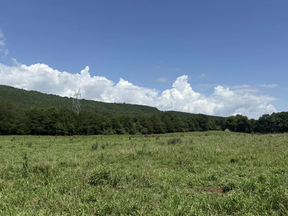 Howard Beavert Road Pikeville, TN 37367