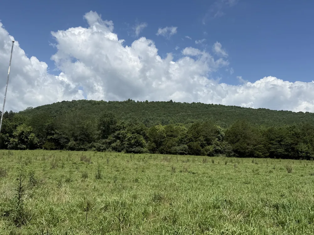 Howard Beavert Road Pikeville, TN 37367