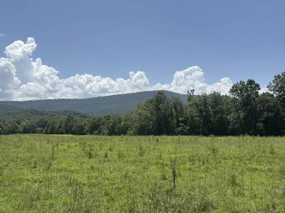 Howard Beavert Road Pikeville, TN 37367