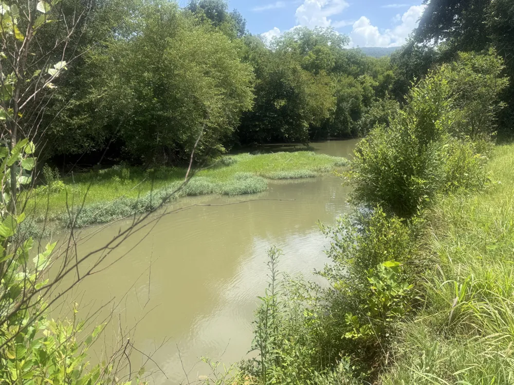 Howard Beavert Road Pikeville, TN 37367