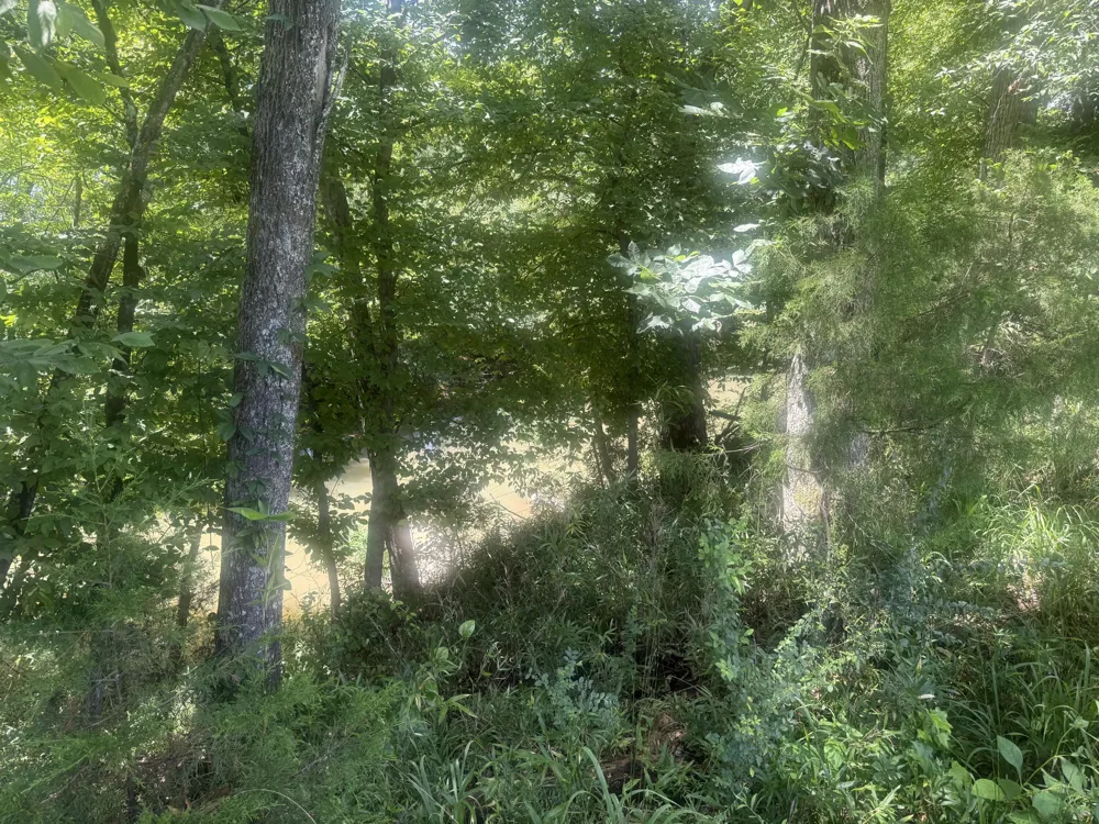 Howard Beavert Road Pikeville, TN 37367