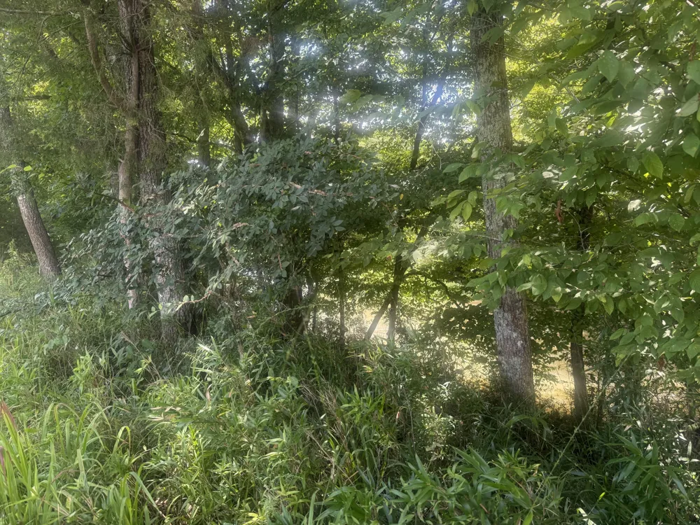 Howard Beavert Road Pikeville, TN 37367