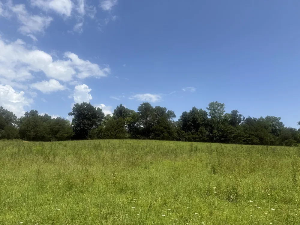 Howard Beavert Road Pikeville, TN 37367