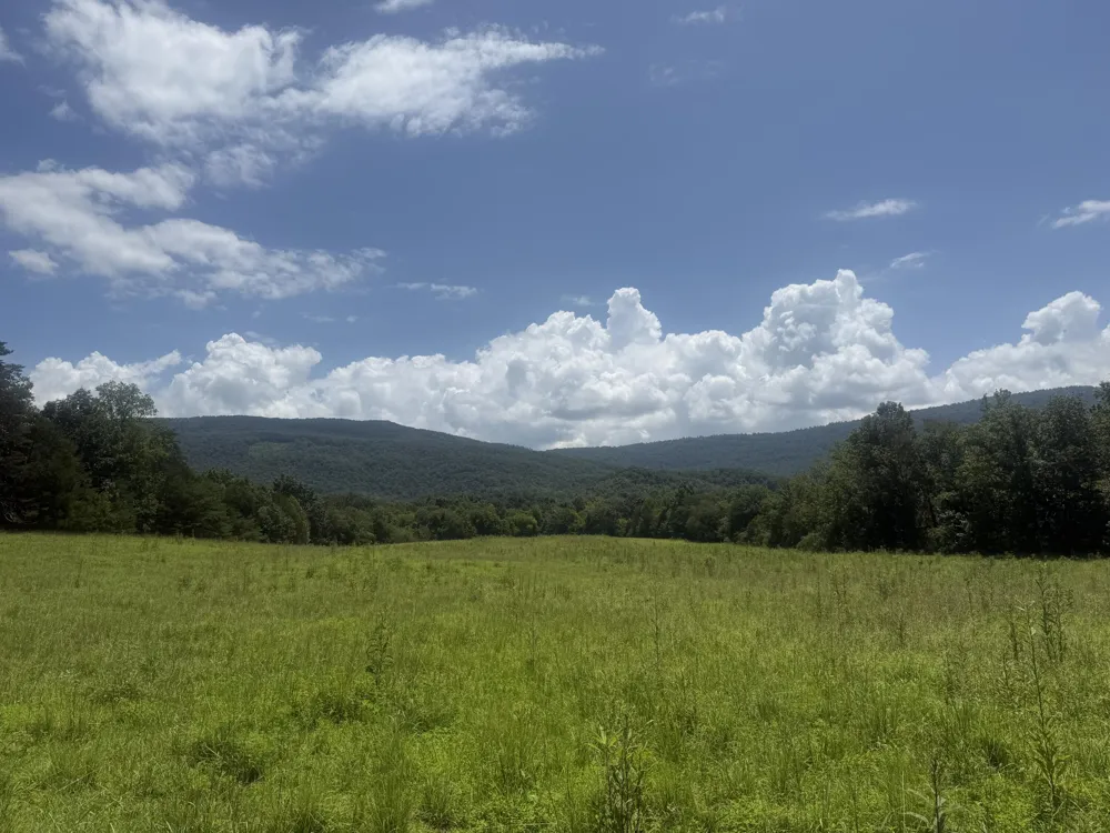Howard Beavert Road Pikeville, TN 37367