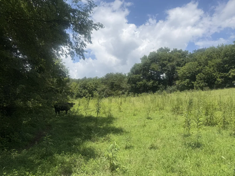 Howard Beavert Road Pikeville, TN 37367