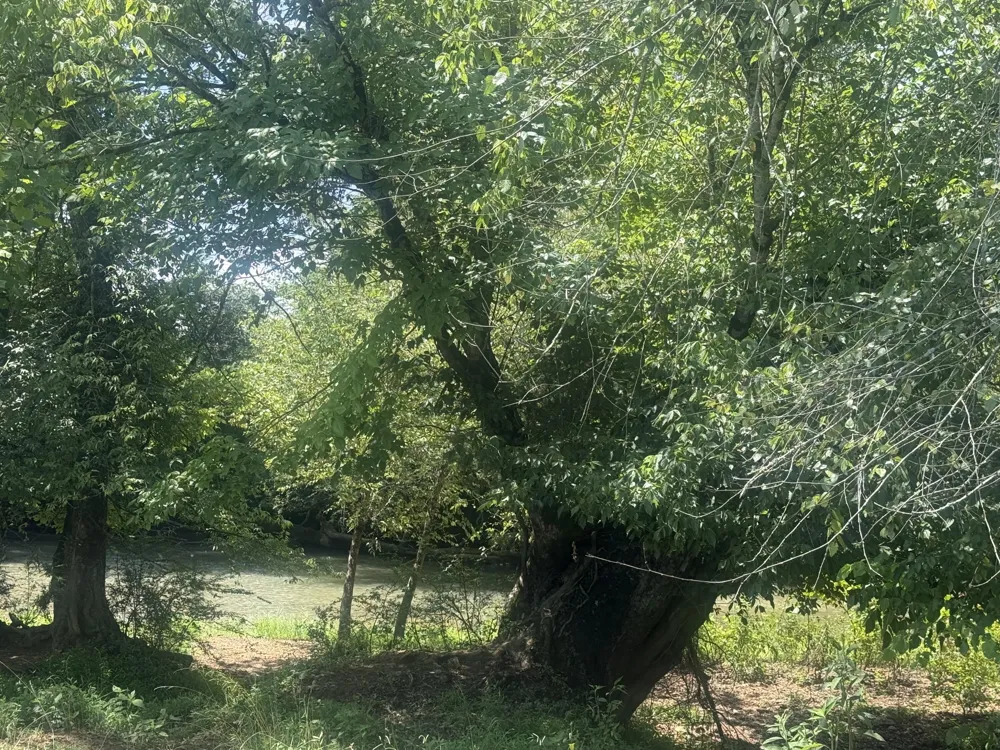 Howard Beavert Road Pikeville, TN 37367