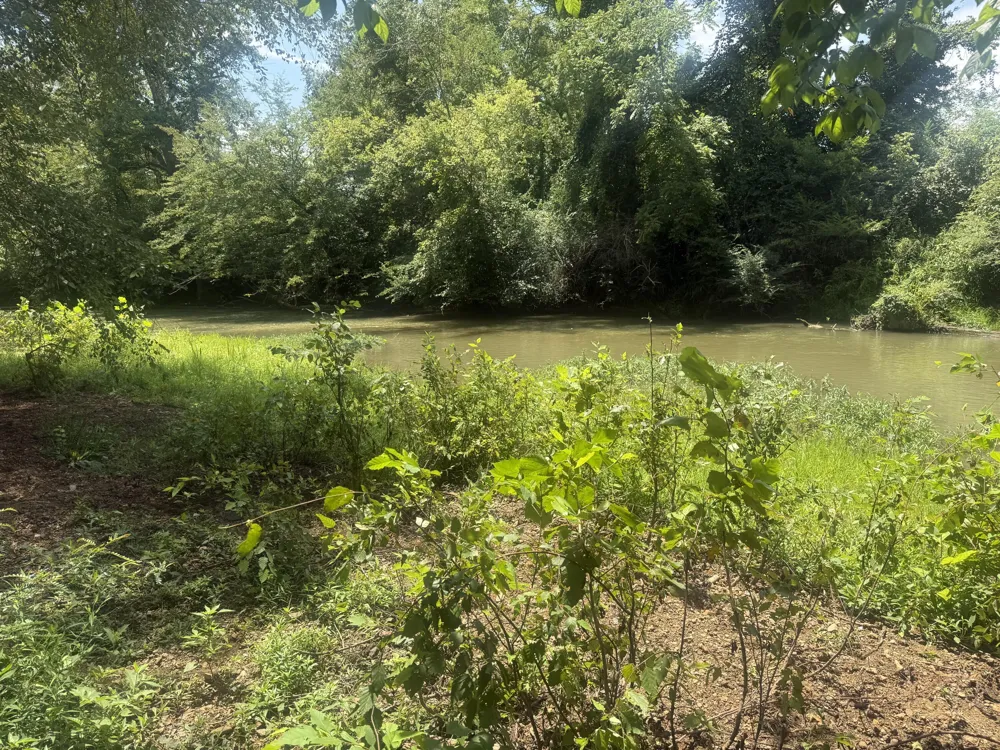 Howard Beavert Road Pikeville, TN 37367