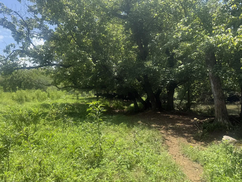 Howard Beavert Road Pikeville, TN 37367