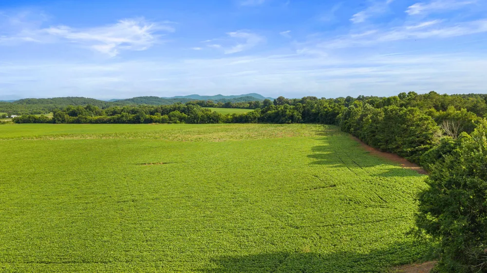 1738 Highway 411 Old Fort, TN 37362
