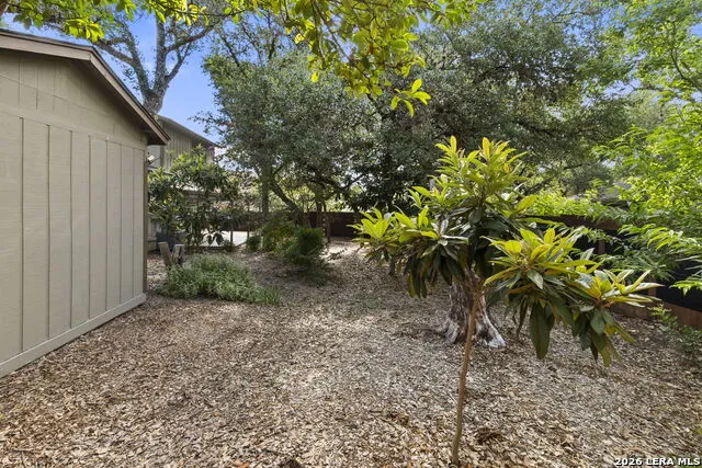 11206 Blue Waters Helotes, TX 78023