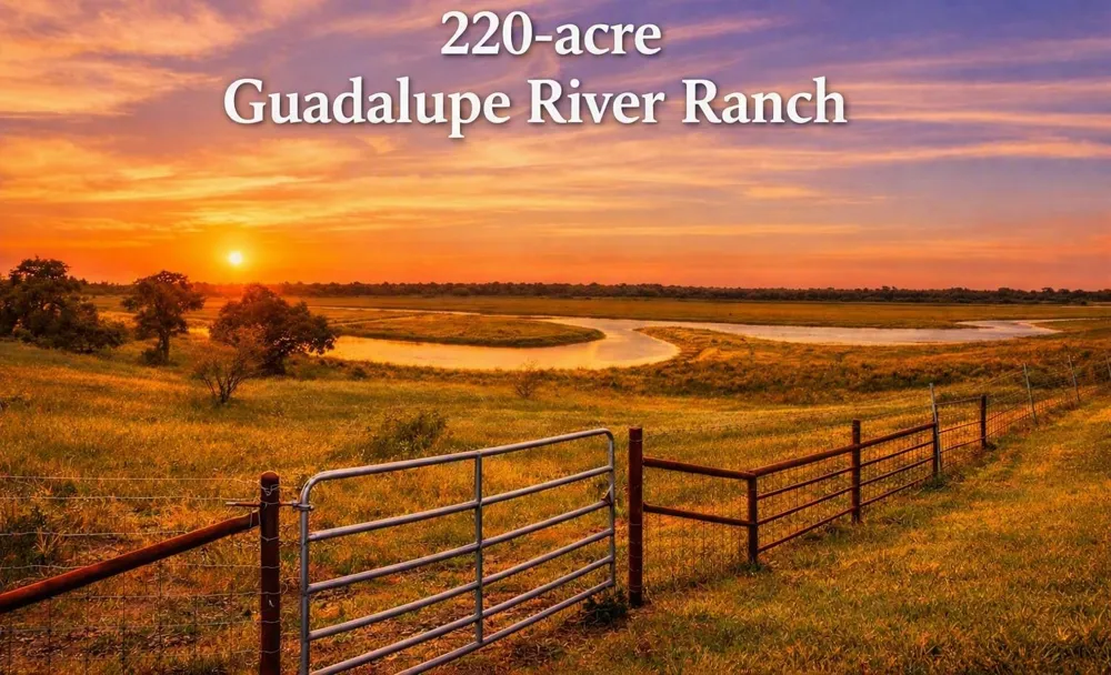 290 Henry Garza Ln Street Tivoli, TX 77990