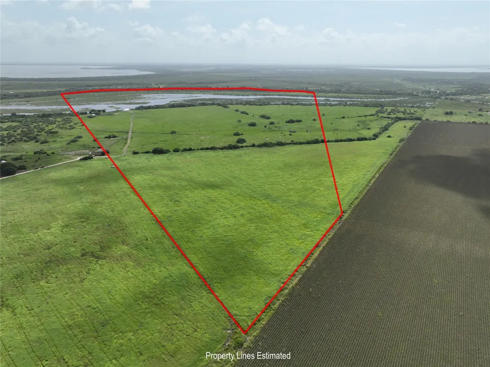 290 Henry Garza Ln Street Tivoli, TX 77990