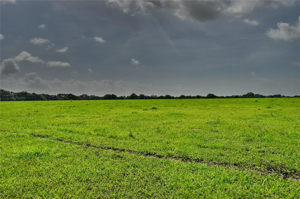 290 Henry Garza Ln Street Tivoli, TX 77990