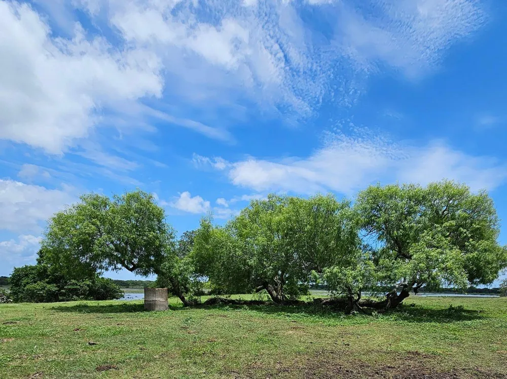 290 Henry Garza Ln Street Tivoli, TX 77990