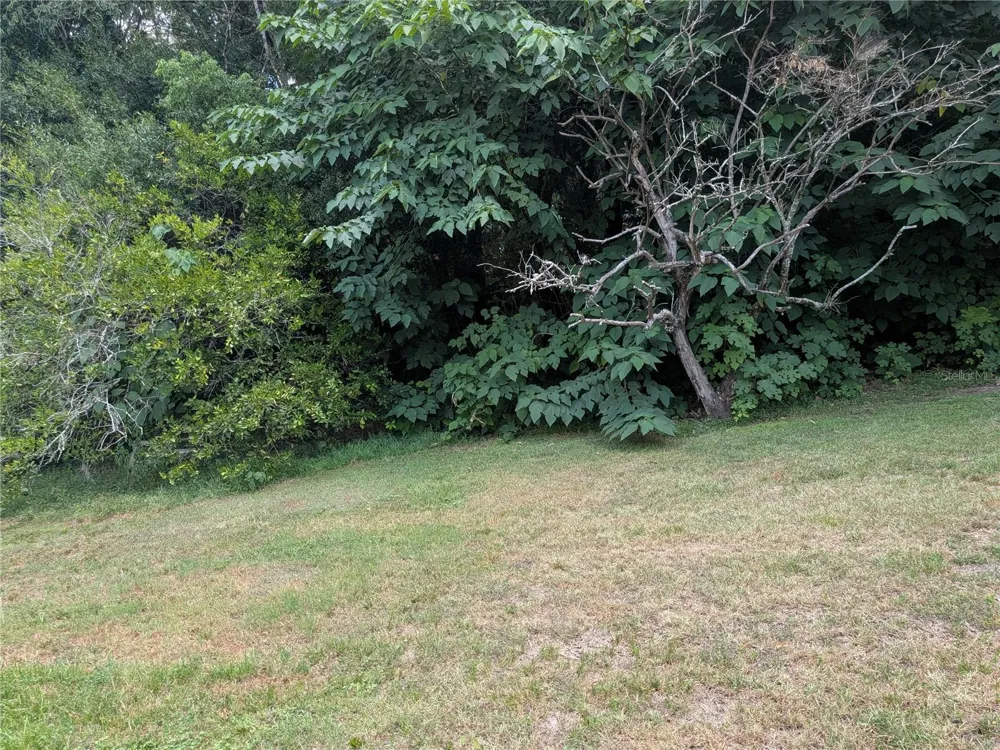 2461 44 ocala, FL 34482