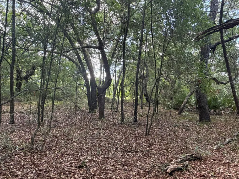 5967 NE 63RD STREET Silver Springs, FL 34488