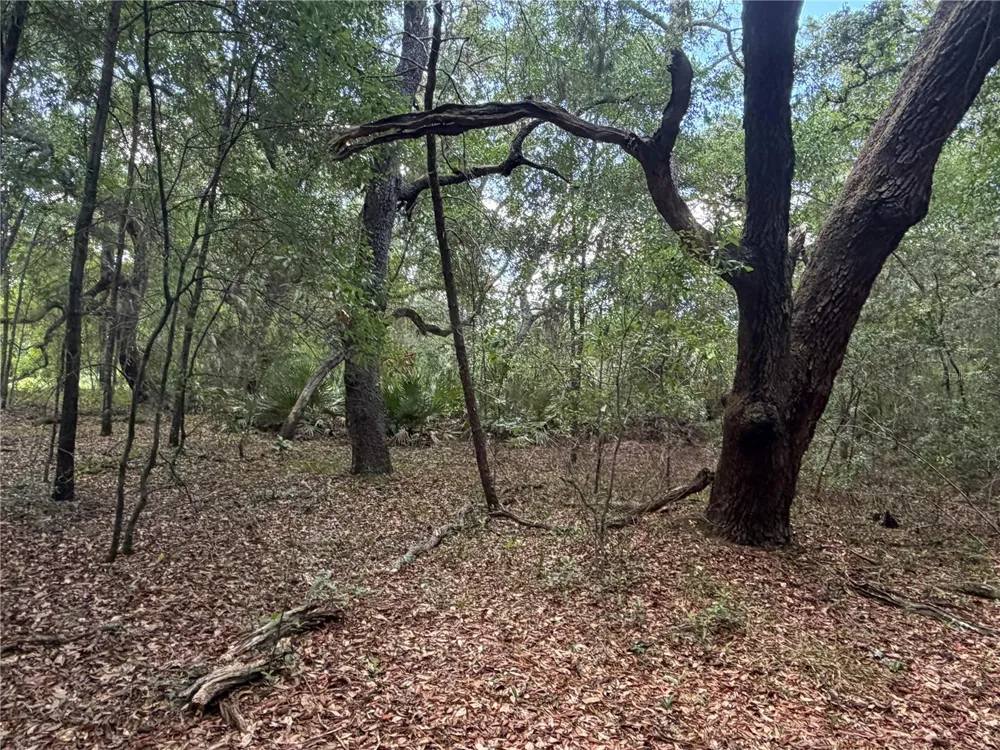 5967 NE 63RD STREET Silver Springs, FL 34488
