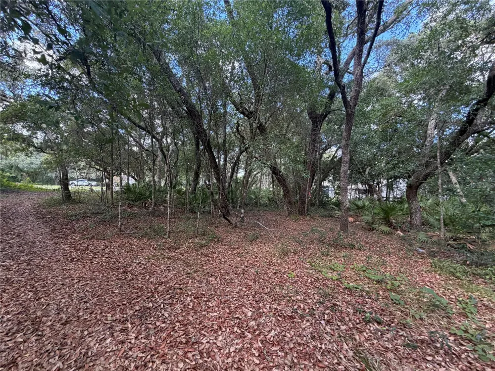 5967 NE 63RD STREET Silver Springs, FL 34488