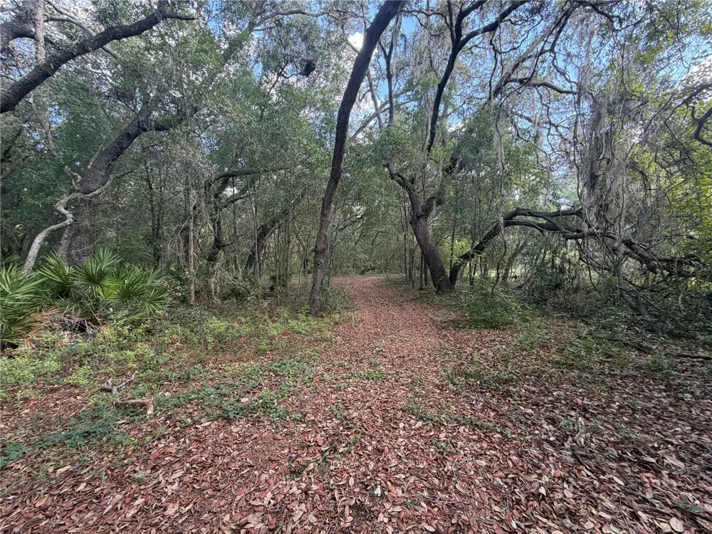 5967 NE 63RD STREET Silver Springs, FL 34488