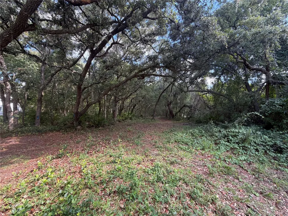 5967 NE 63RD STREET Silver Springs, FL 34488