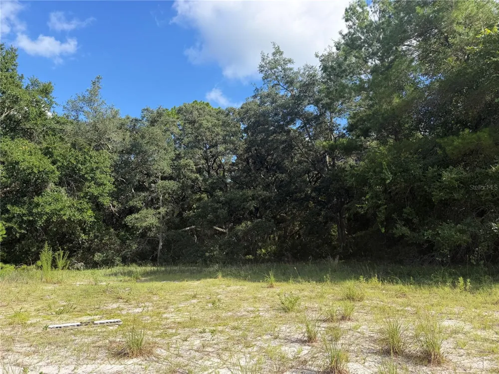 5967 NE 63RD STREET Silver Springs, FL 34488