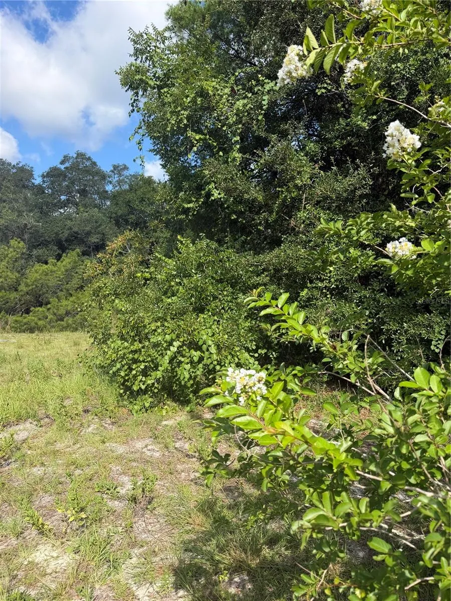 5967 NE 63RD STREET Silver Springs, FL 34488