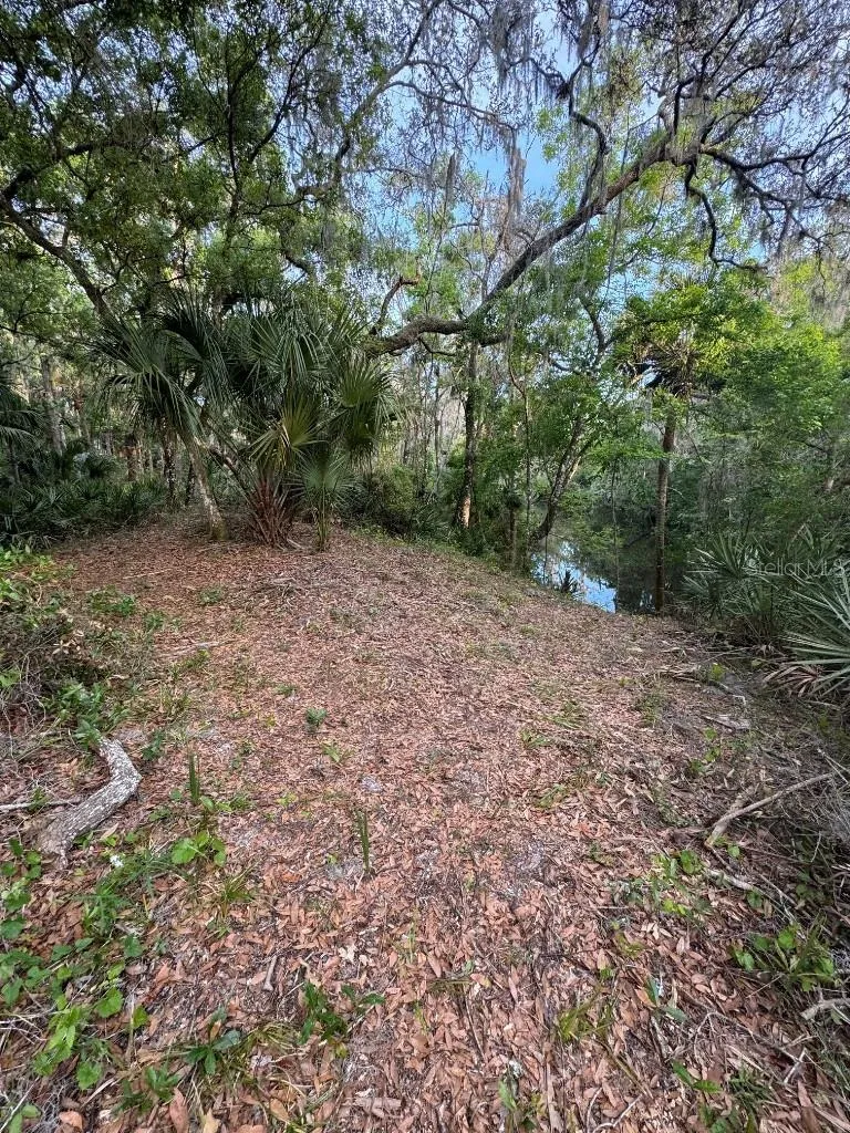 901 SHOALS LANDING DRIVE Brandon, FL 33511