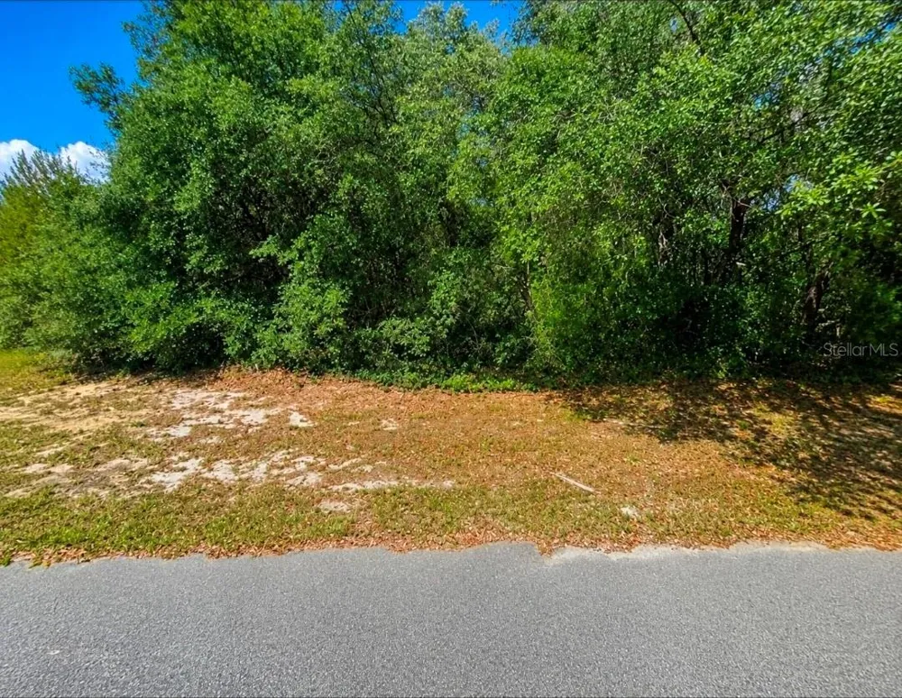 SW 164TH PLACE ROAD ocala, FL 34473