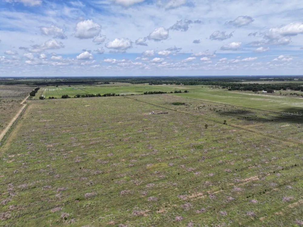 6691 SE COUNTY ROAD 763 Arcadia, FL 34266