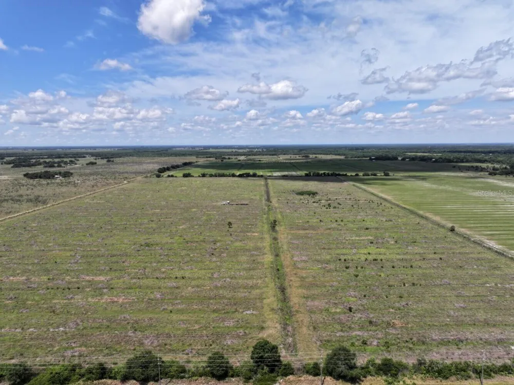 6691 SE COUNTY ROAD 763 Arcadia, FL 34266