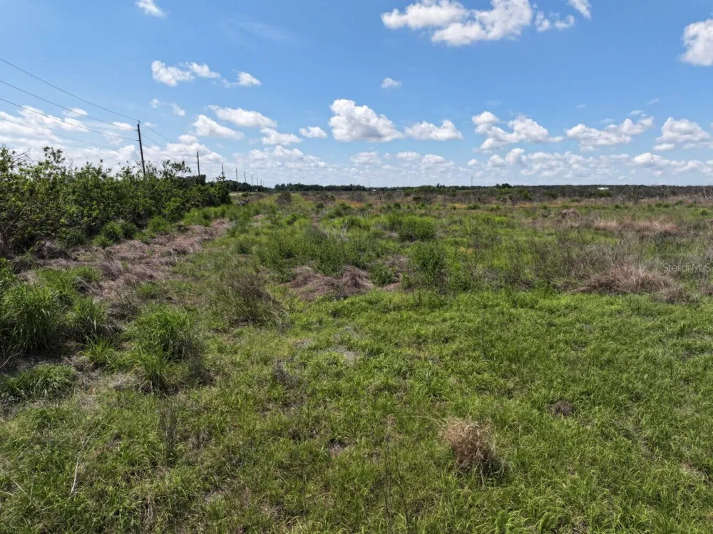 6691 SE COUNTY ROAD 763 Arcadia, FL 34266