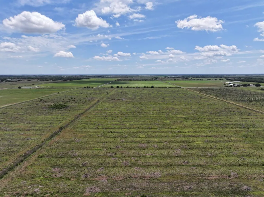 6691 SE COUNTY ROAD 763 Arcadia, FL 34266