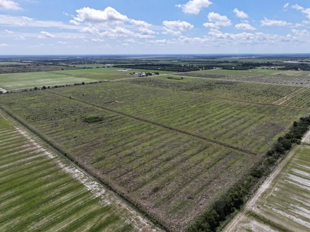 6691 SE COUNTY ROAD 763 Arcadia, FL 34266